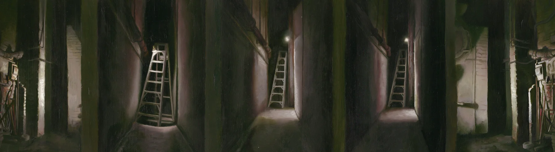 Ladders in hallways (going nowhere)