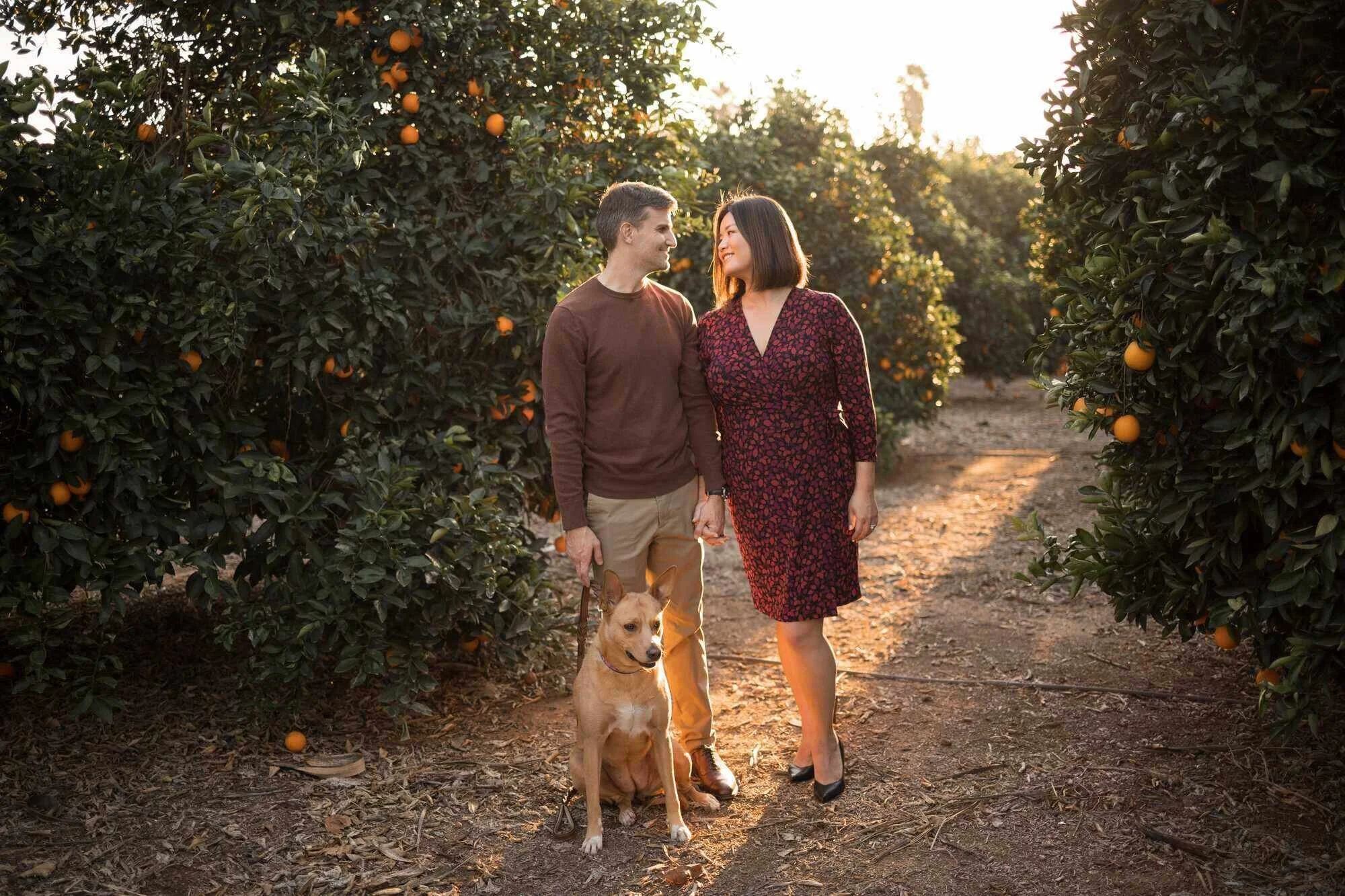 couple-with-dog-orange-grove-sunset-california-citrus-park-riverside-ca.jpg
