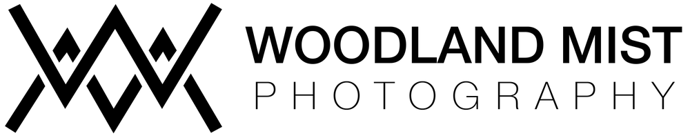 Woodland Mist Photography