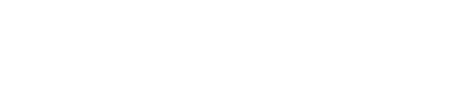 Woodland Mist Photography