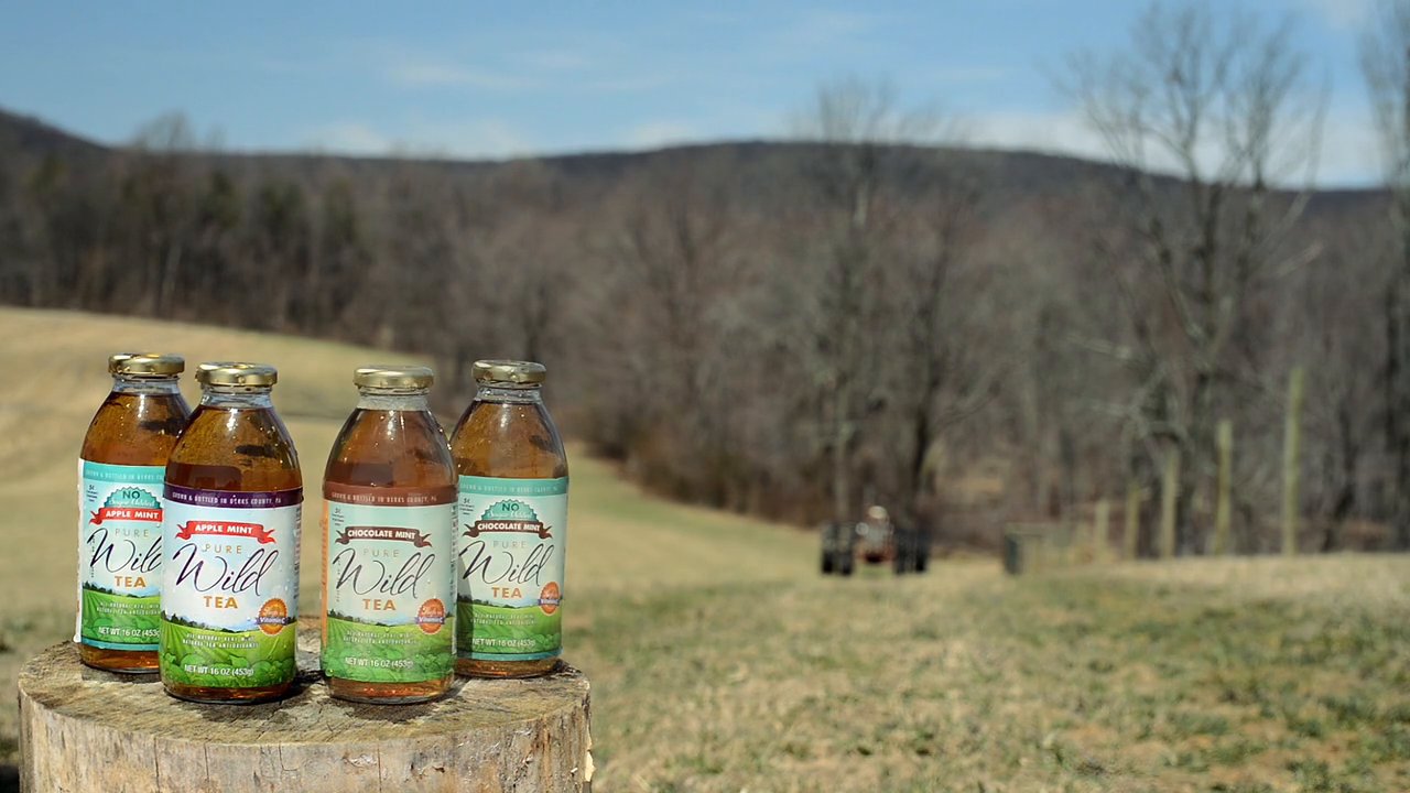 Pure Wild Tea Promotional Video · 2015