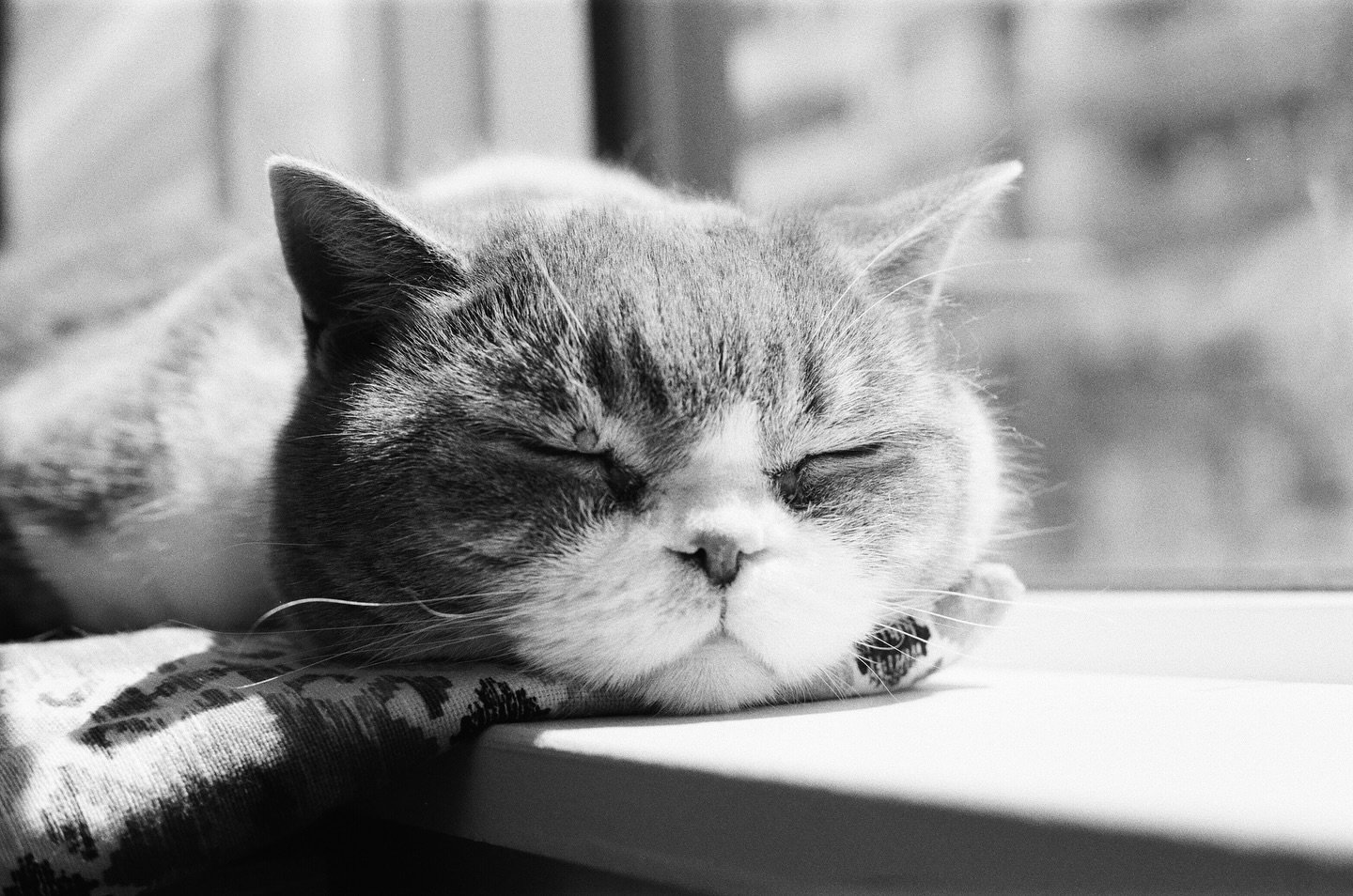 Shots from Rolls 20-22. Kodak Ultramax, Kodak Gold, and Ilford HP5 400.