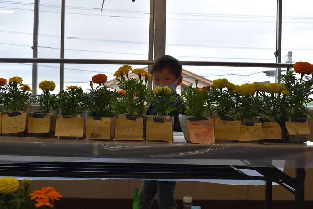 Behind the marigoldas.jpeg