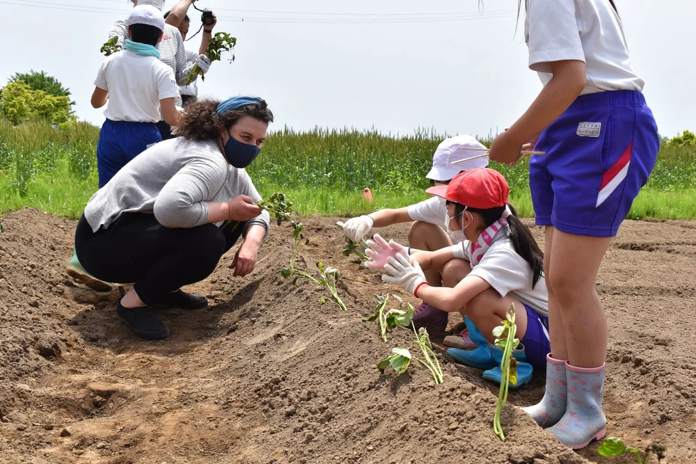 Planting sweet potato.jpeg