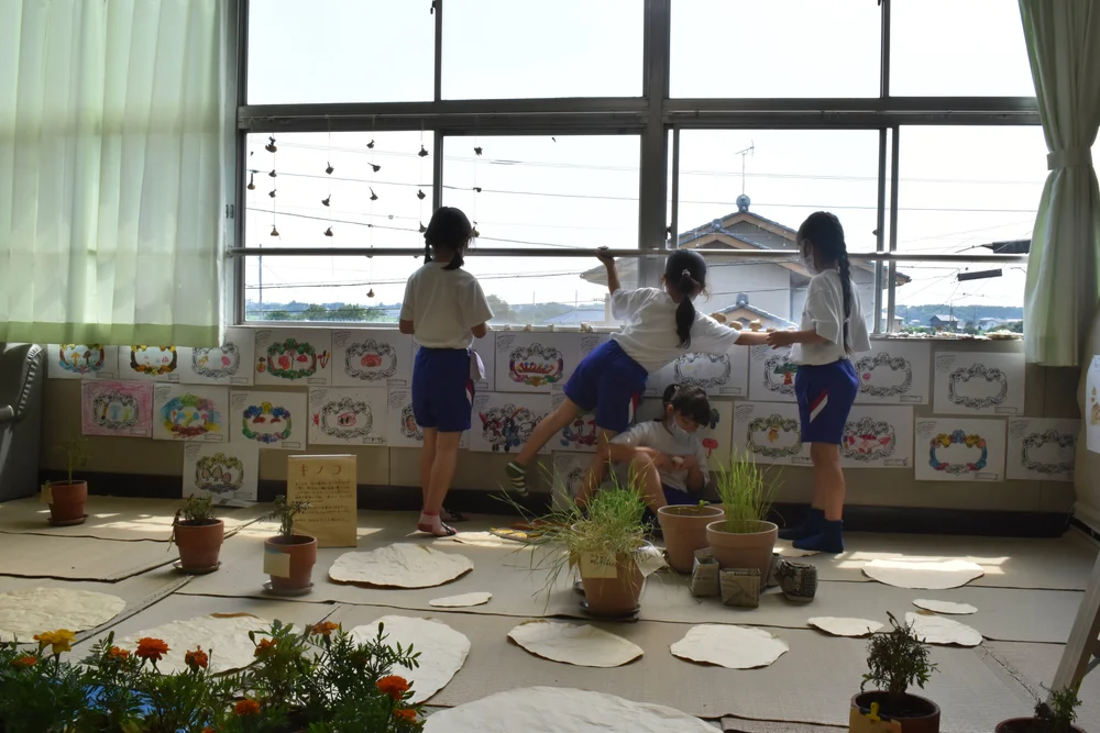 Material garden.jpeg