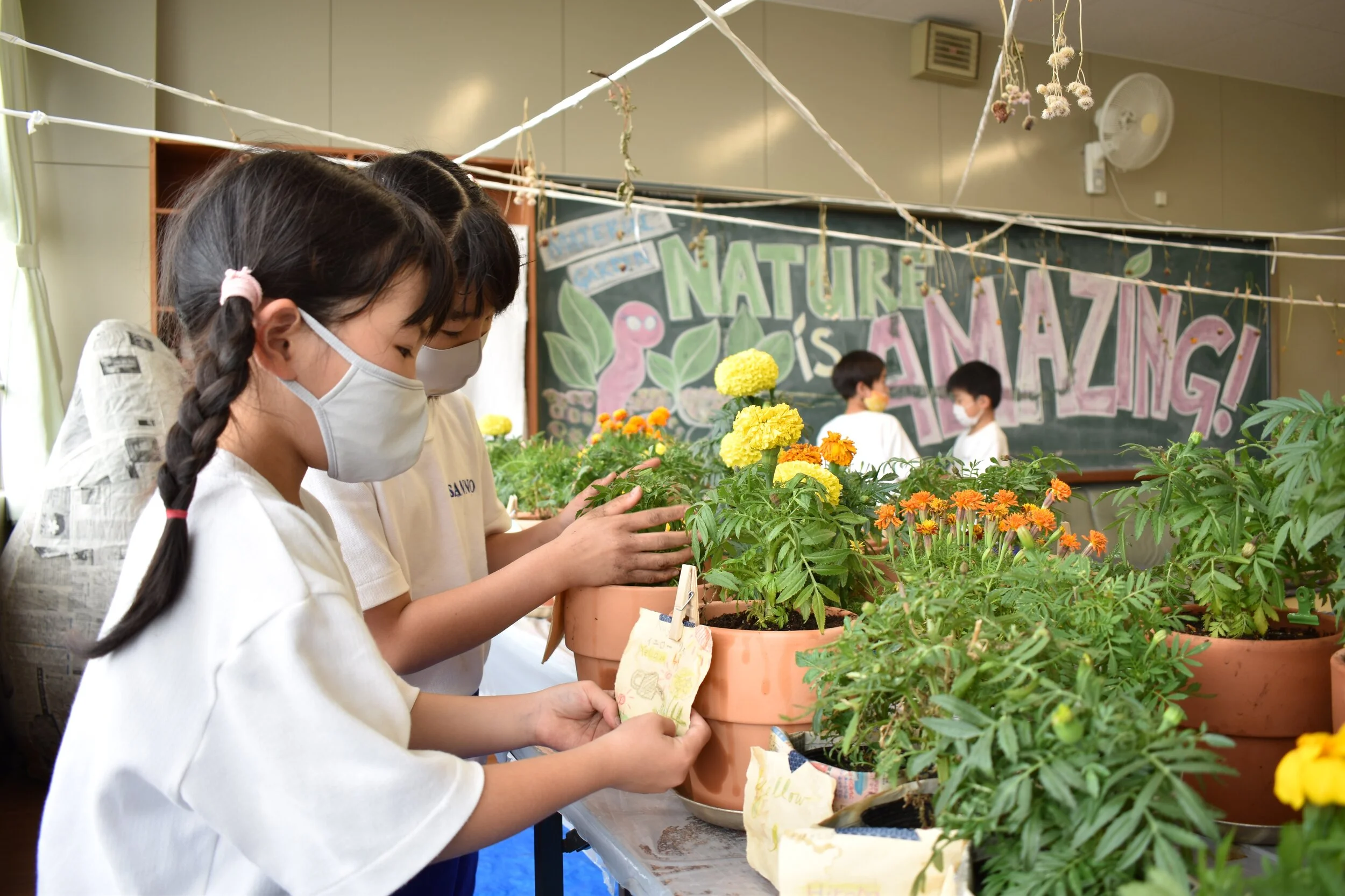 Artist in Residence Summer 2021: Material Garden