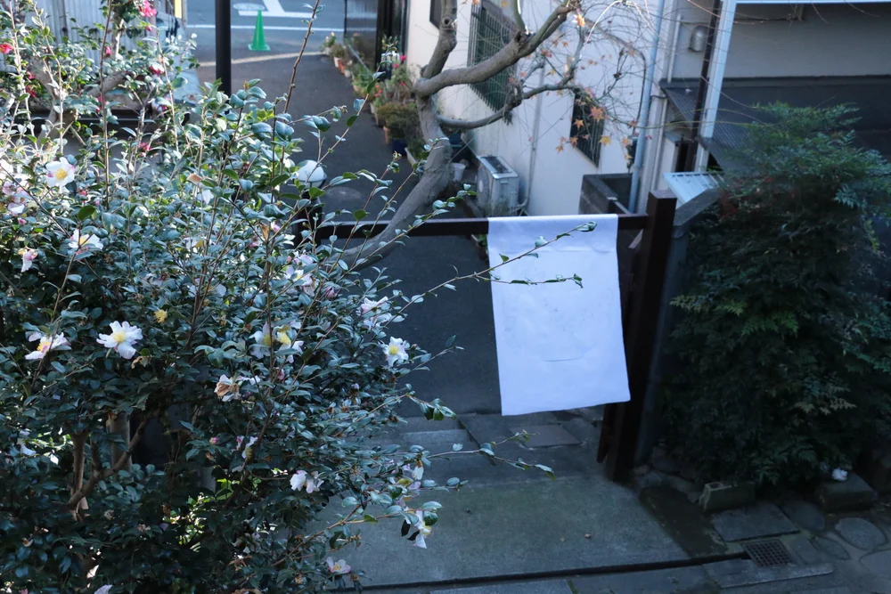 Flag flying in the breeze by x.jpeg