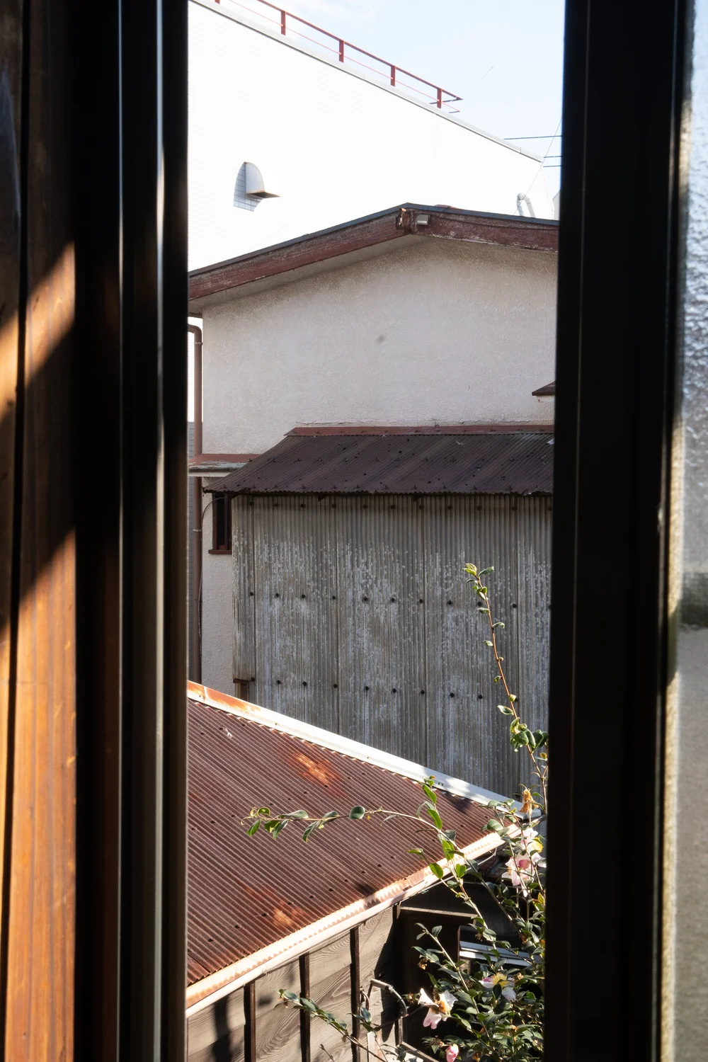 window near hiroko.jpeg