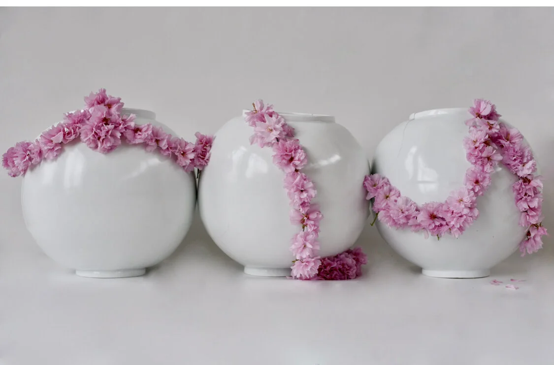 Film: 桜継ぎ (Sakura-Tsugi) 　