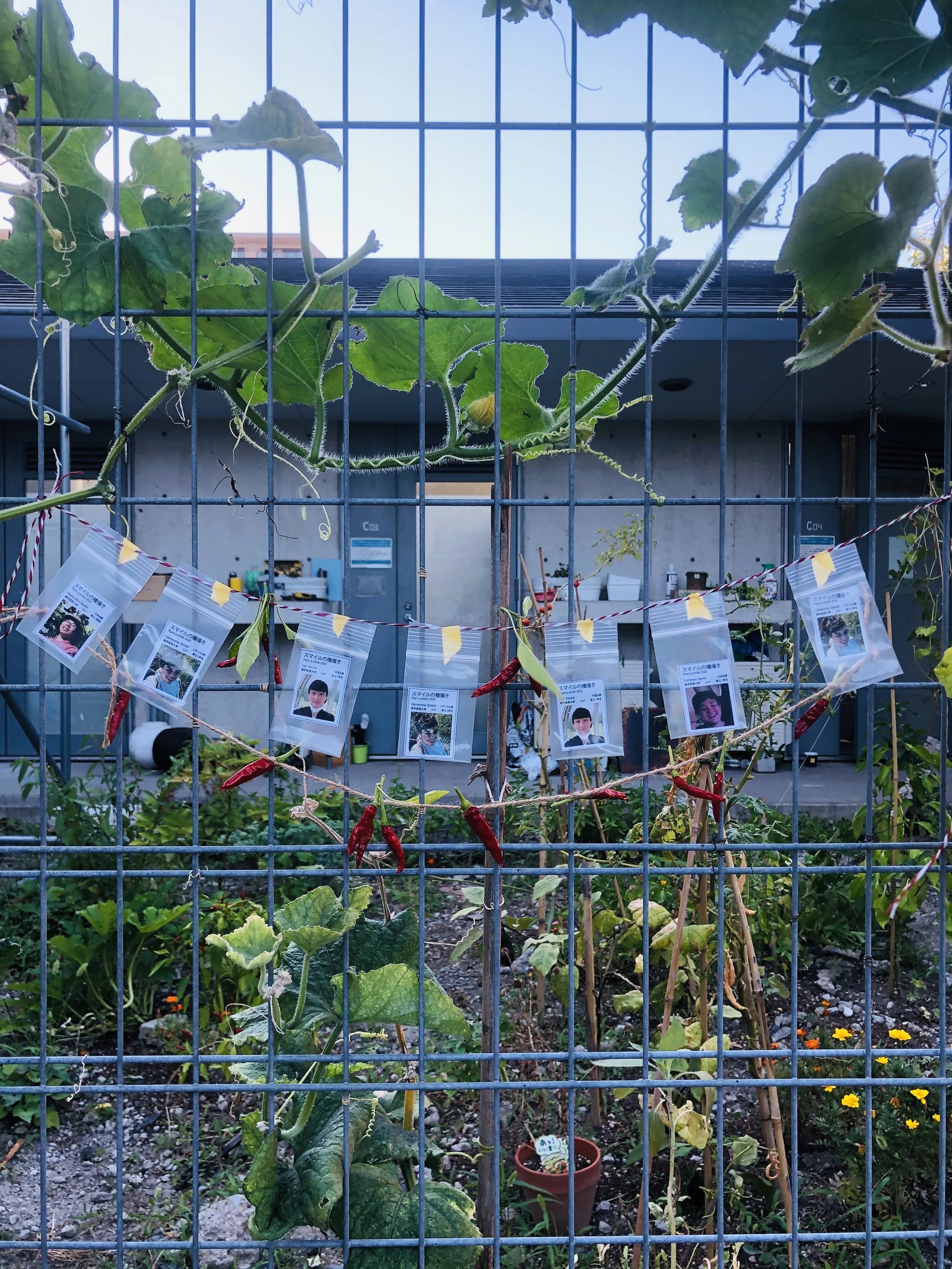 Community: Friendly Garden