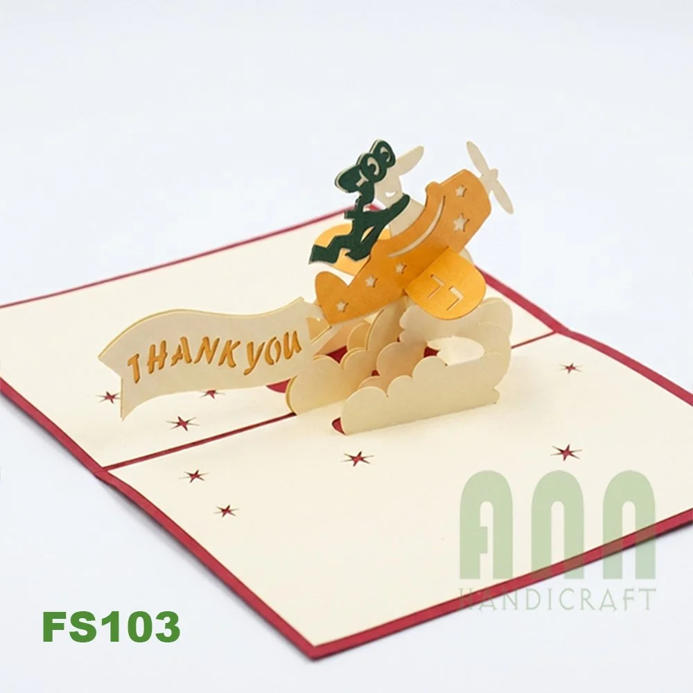 FS103-Plane-with-ribbon-03.jpg