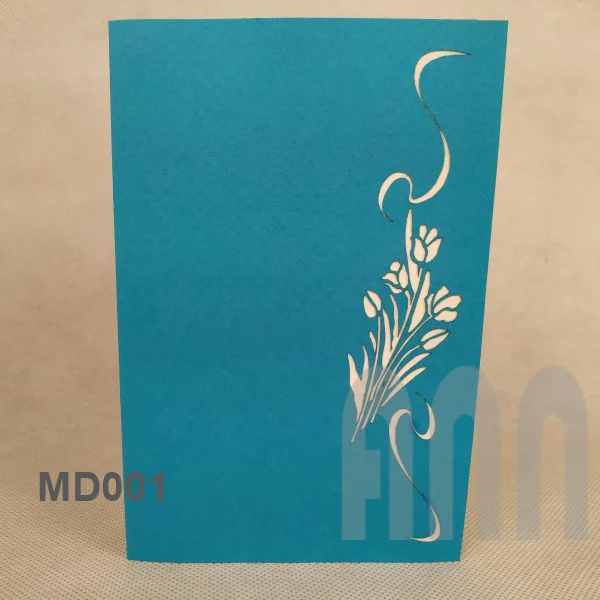 MD001_Web2.jpg