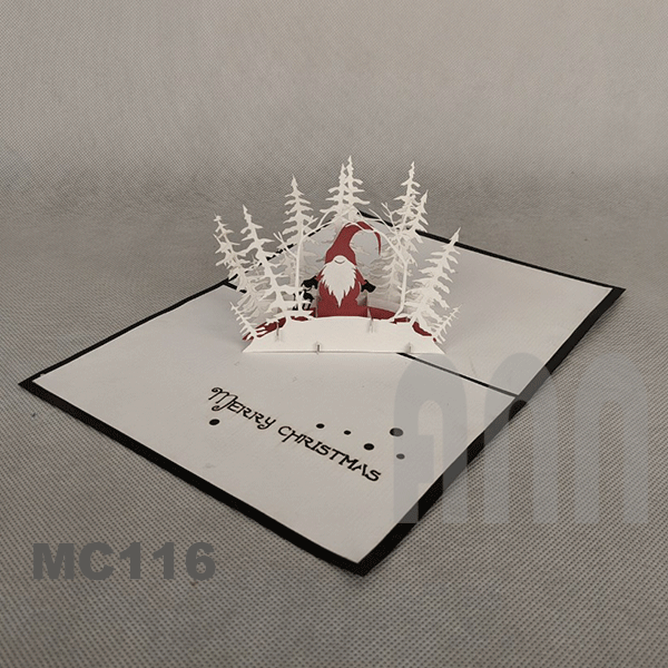 MC116_Christmas Dwarf_in2.gif