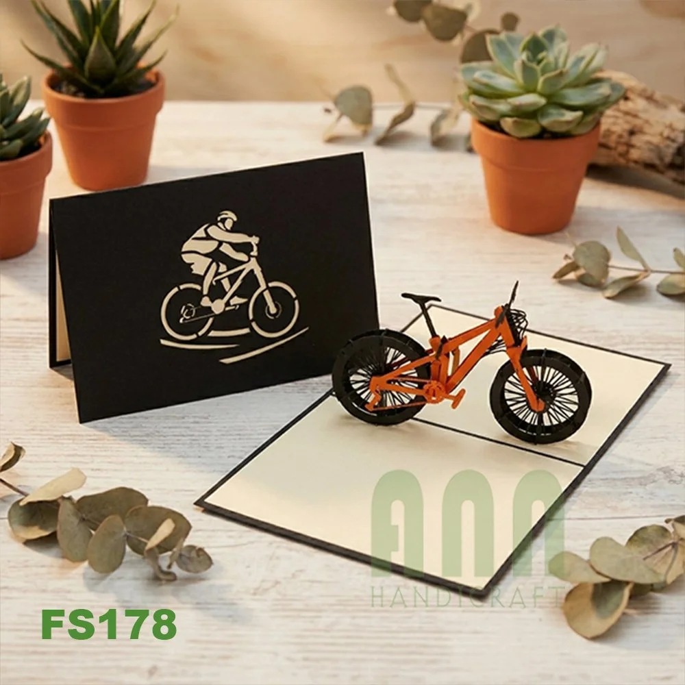FS178BK_Mountain-bike-07.jpg