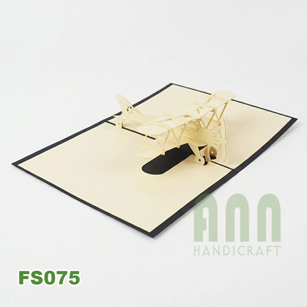 FS075-Biplane-01.jpg