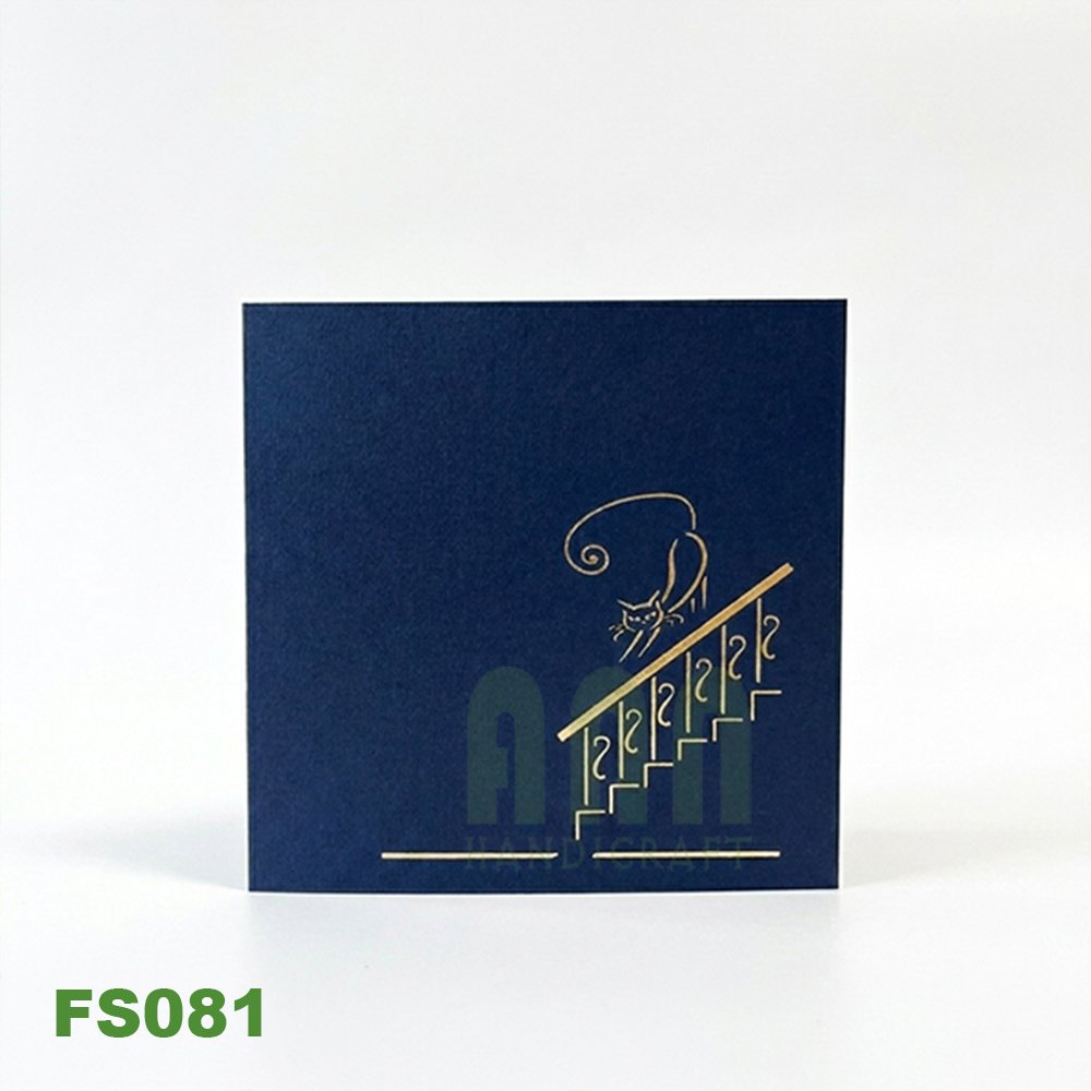 FS081B-01.jpg