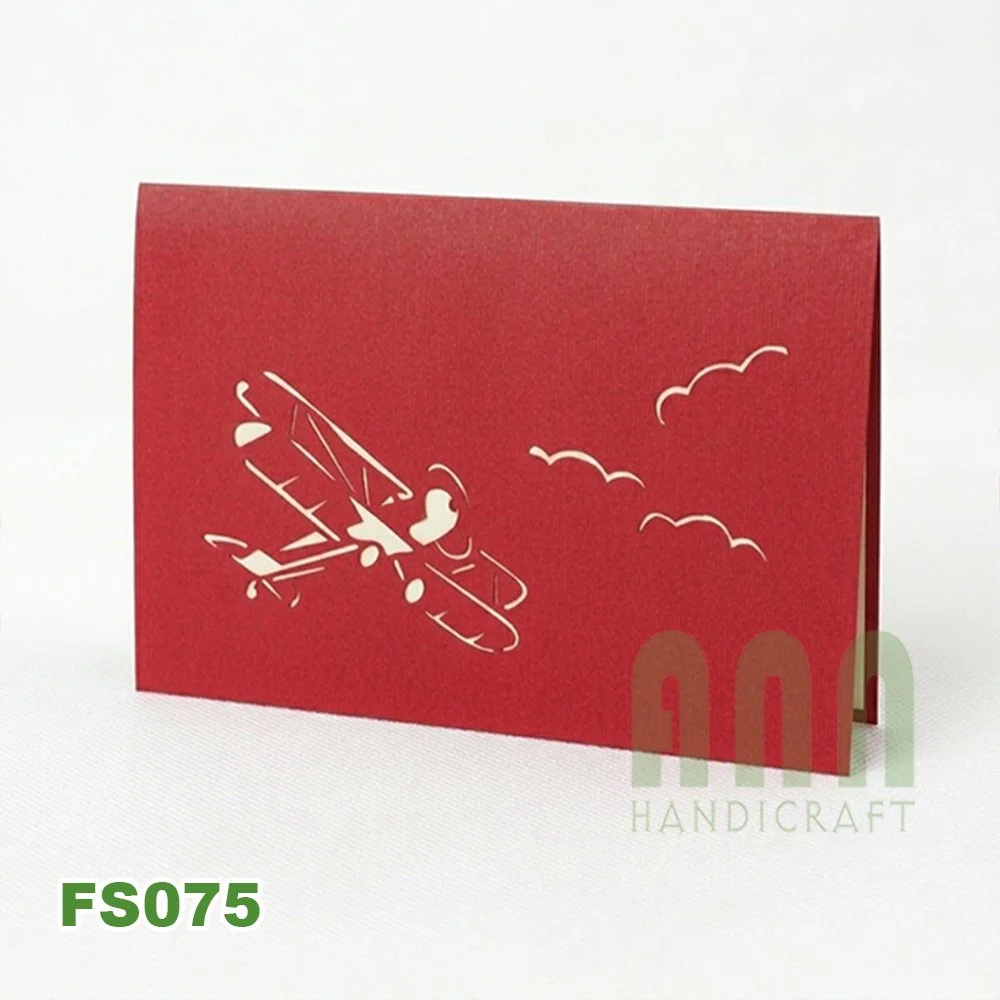 FS075-Biplane-08.jpg