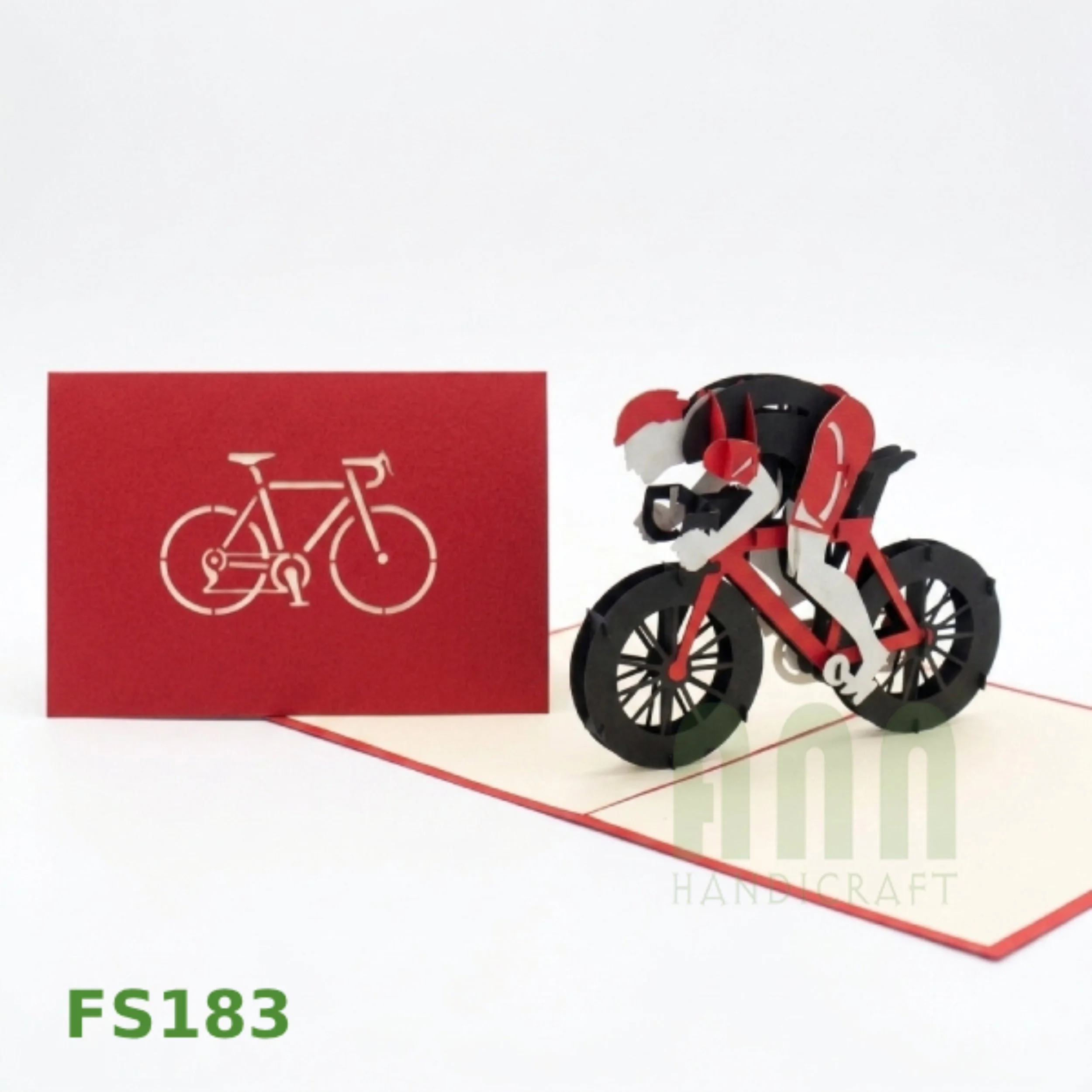 FS183-Racing Bike-03.jpg