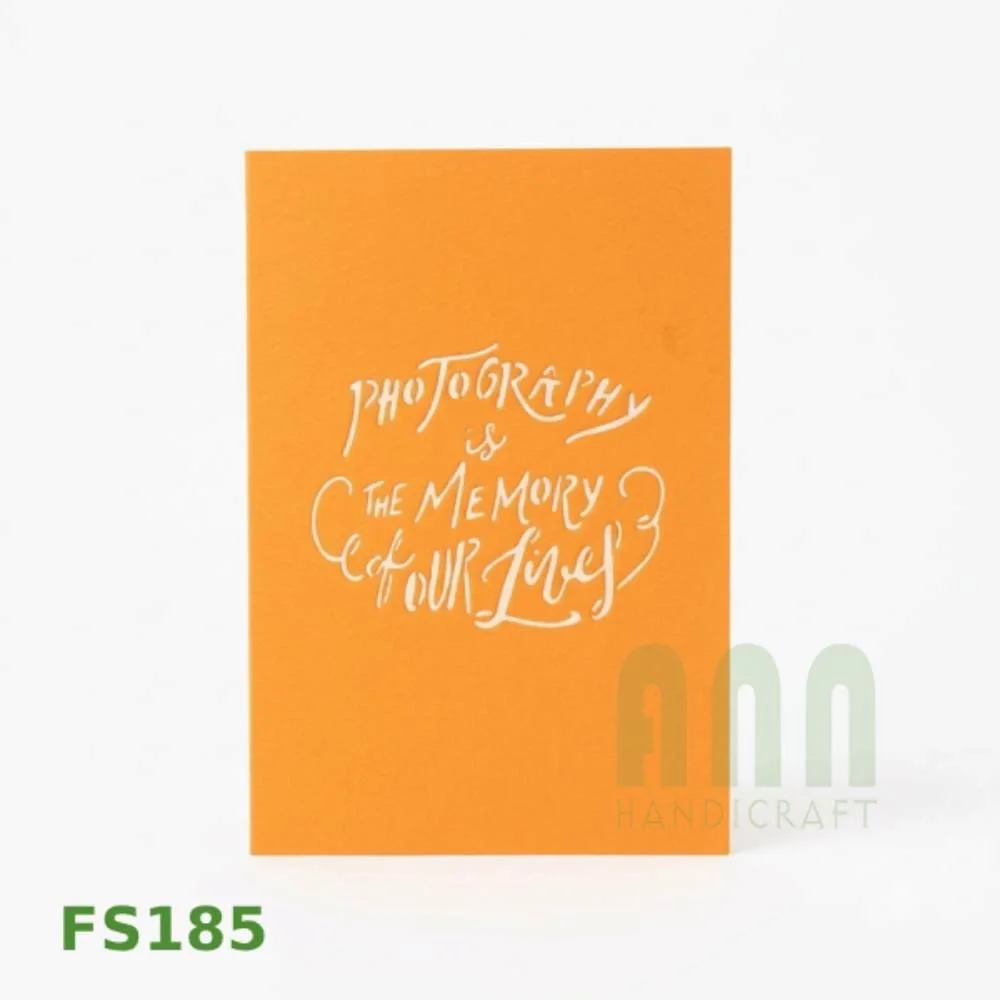 FS185-Camera-05.jpg