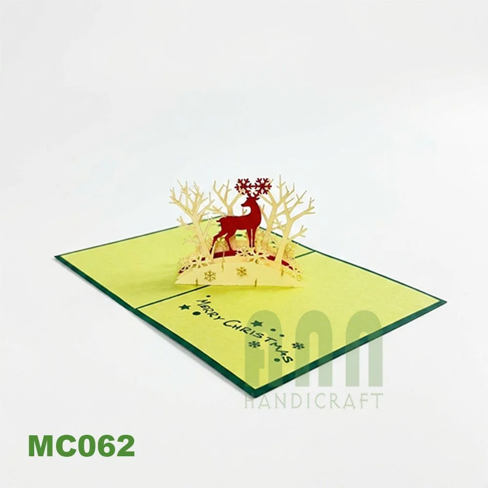 MC062G_04.jpg