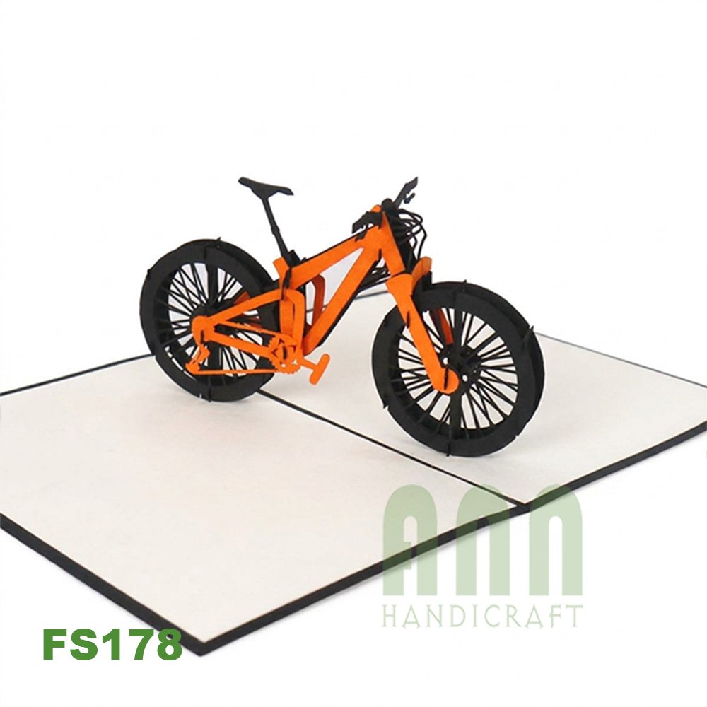 FS178_Mountain-bike-02.jpg