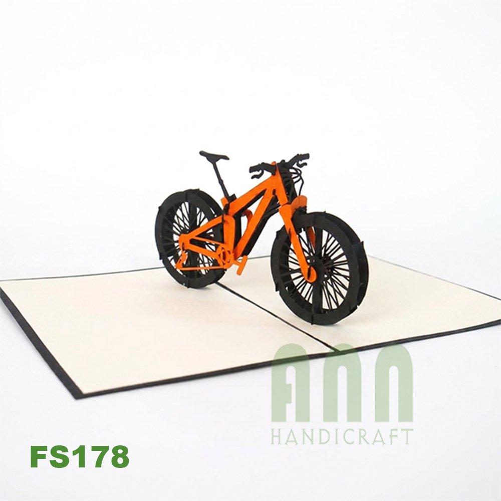FS178_Mountain-bike-01.jpg