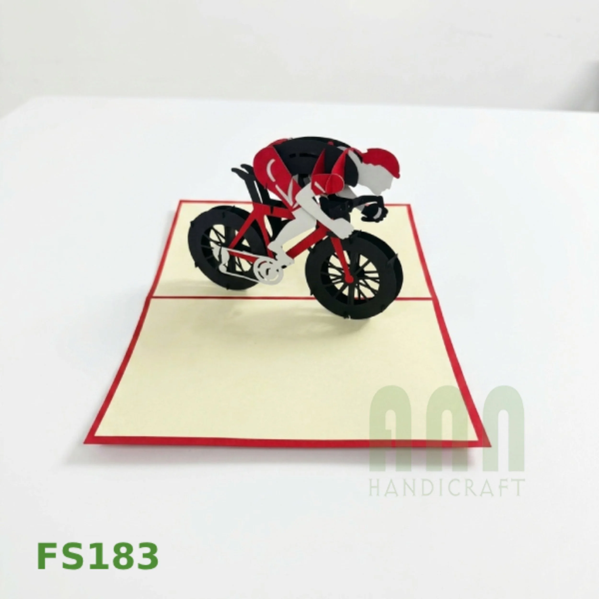 FS183-Racing Bike-04.jpg