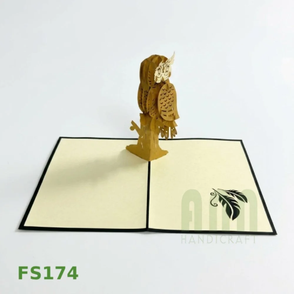 FS174-Owl 3D-03.jpg