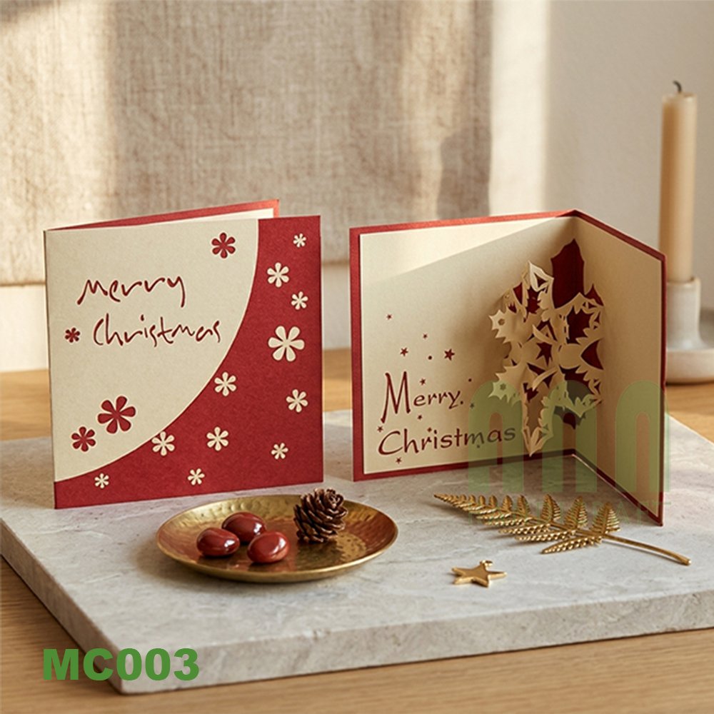 MC003-xmas-snow-flake-2-04.jpg