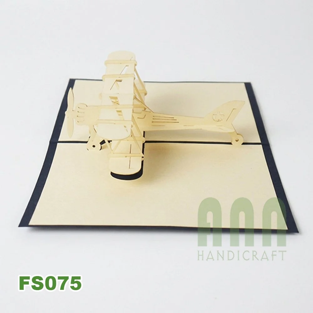 FS075-Biplane-03.jpg