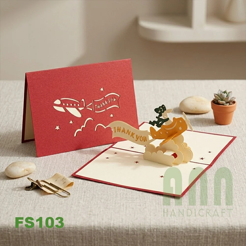FS103-Plane-with-ribbon-06.jpg