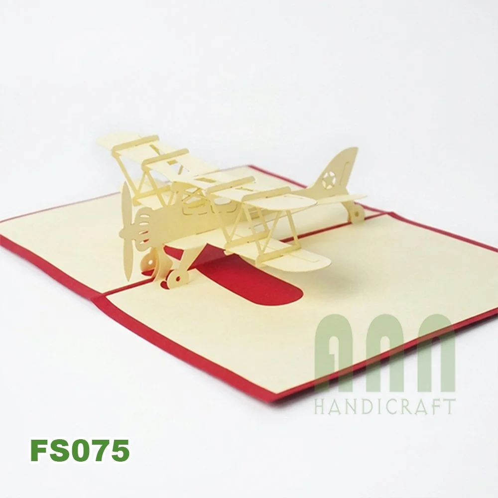 FS075-Biplane-05.jpg