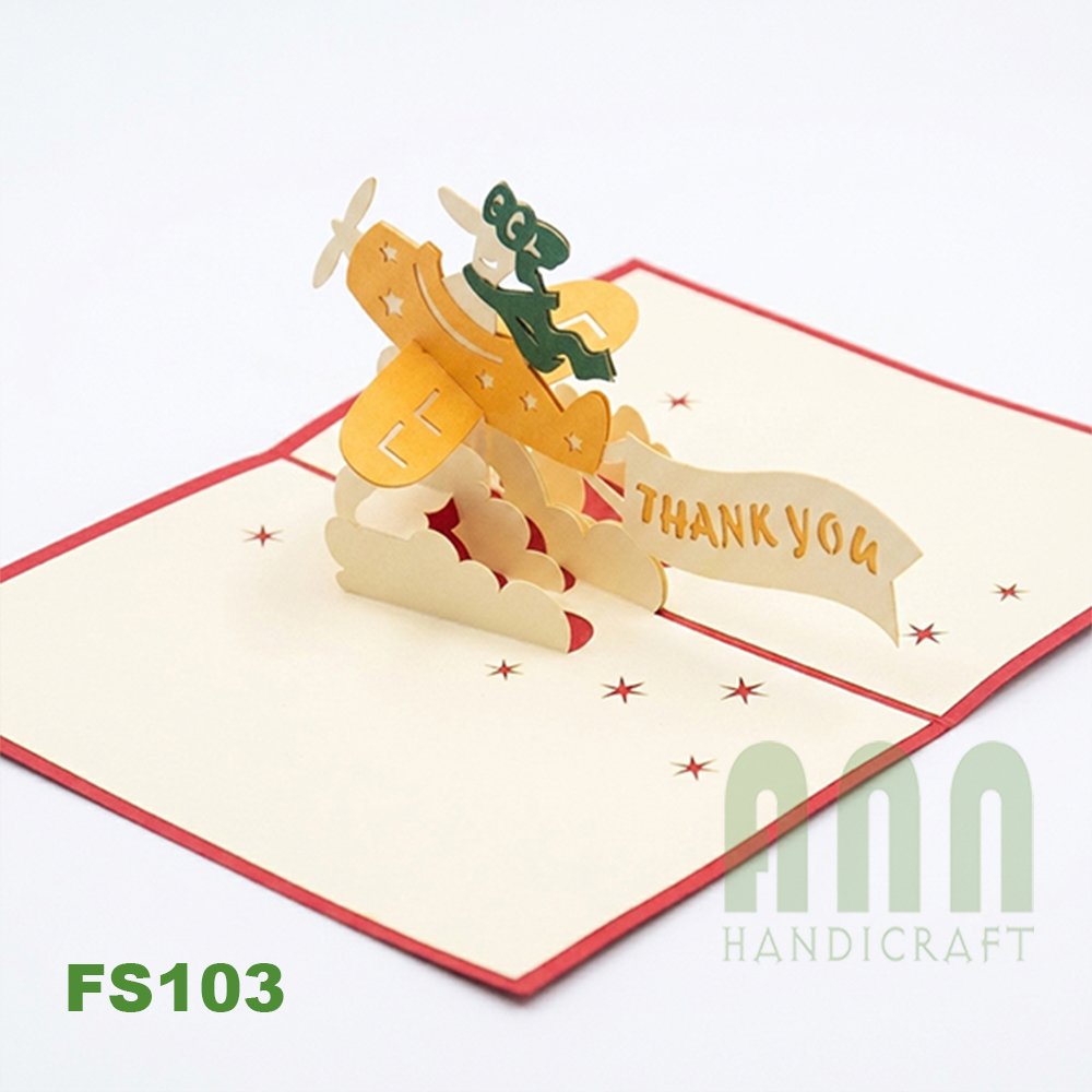 FS103-Plane-with-ribbon-02.jpg