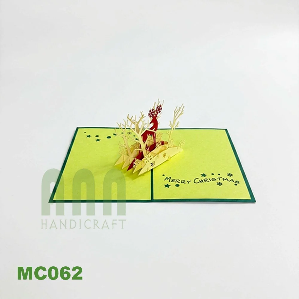 MC062G_03.jpg