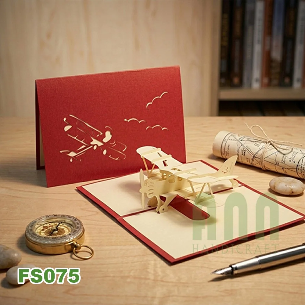 FS075-Biplane-09.jpg