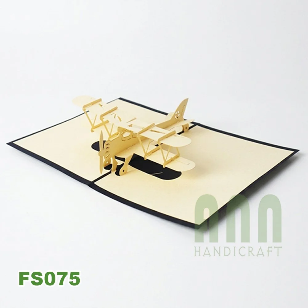 FS075-Biplane-02.jpg
