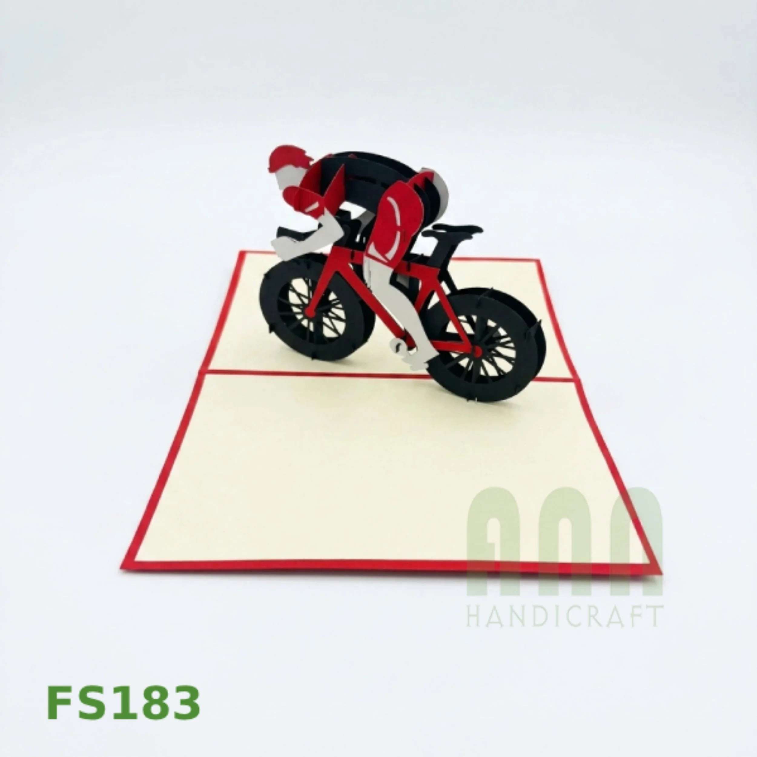 FS183-Racing Bike-05.jpg