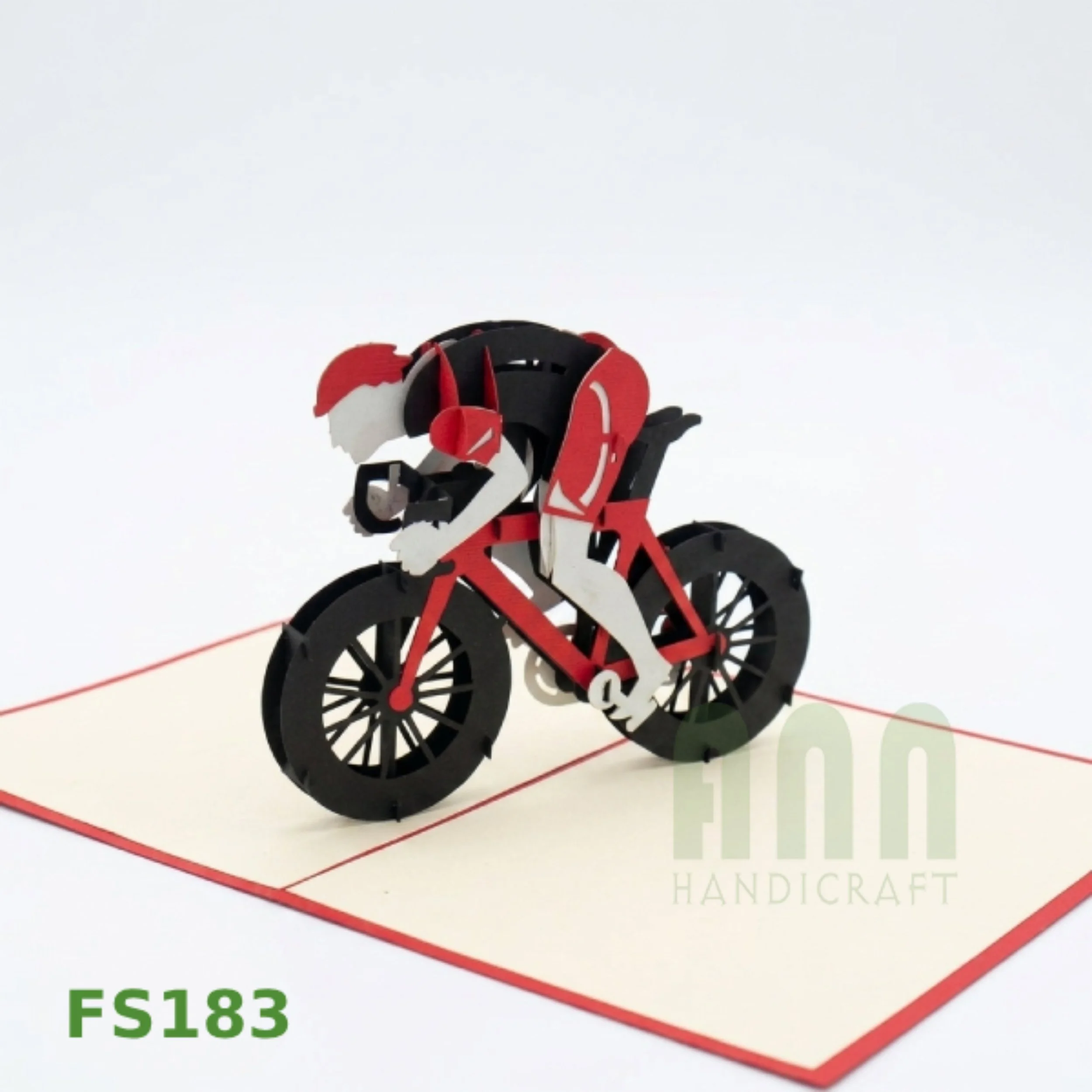 FS183-Racing Bike-06.jpg