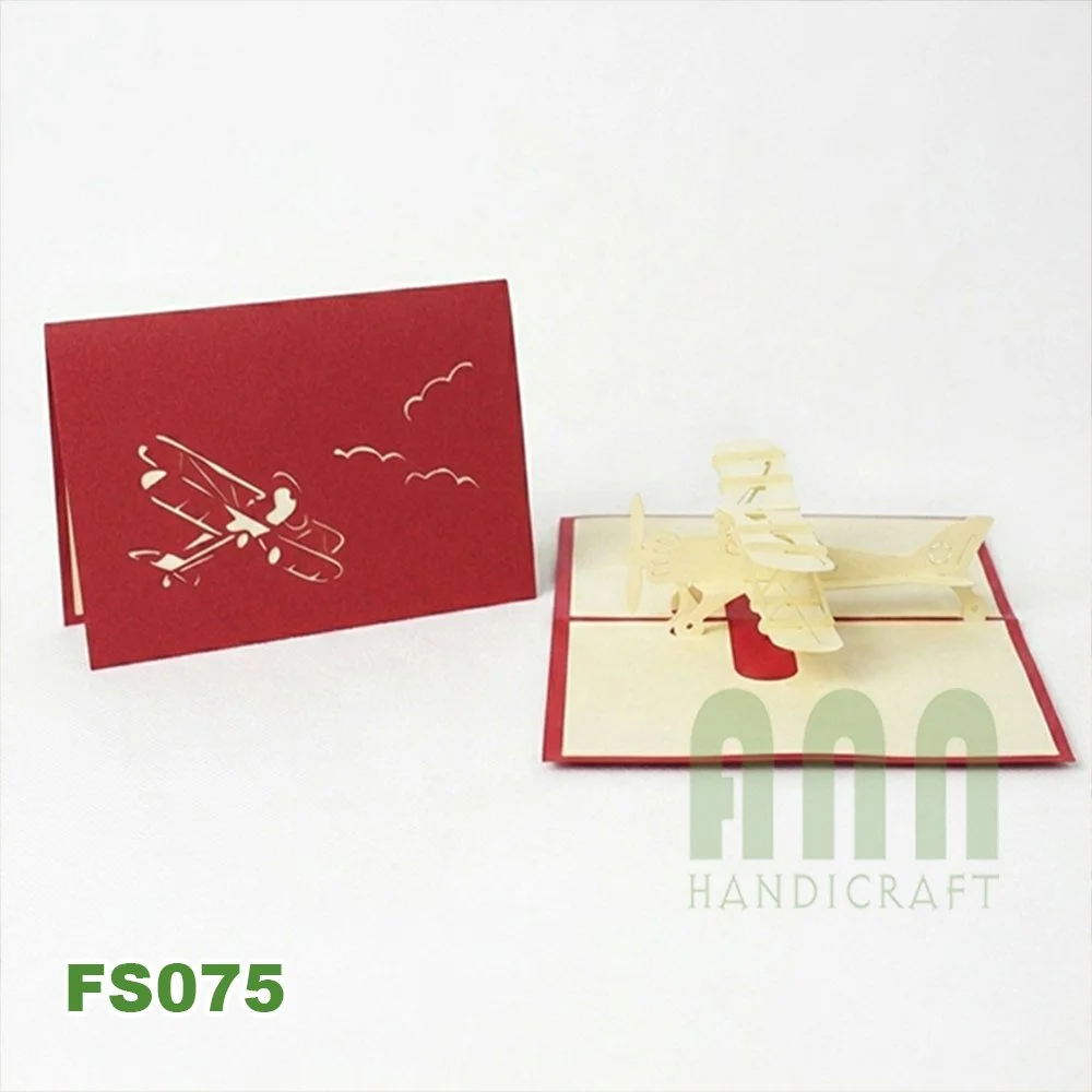 FS075-Biplane-10.jpg