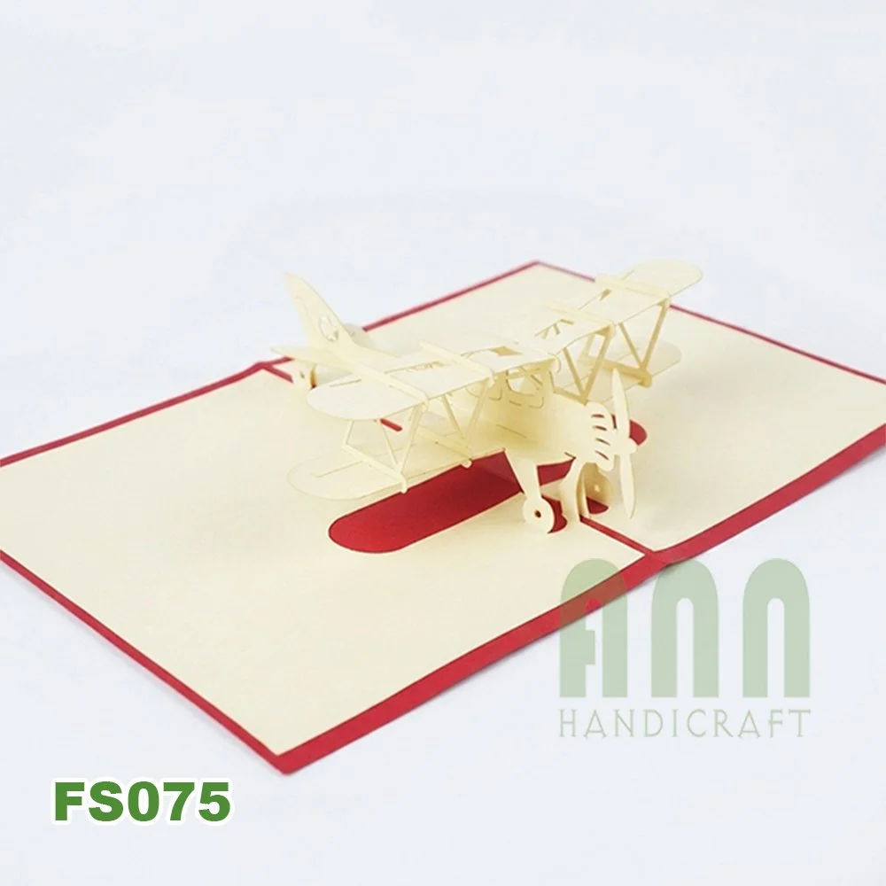 FS075-Biplane-07.jpg
