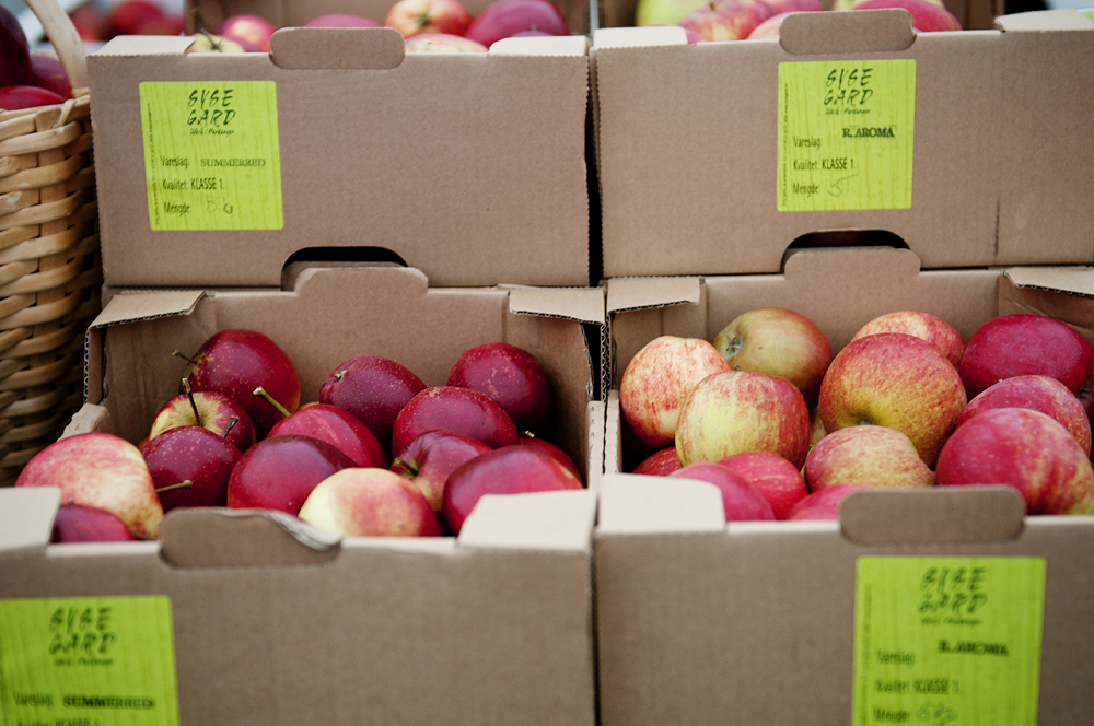11.10.15 MKF MARKET34.jpg