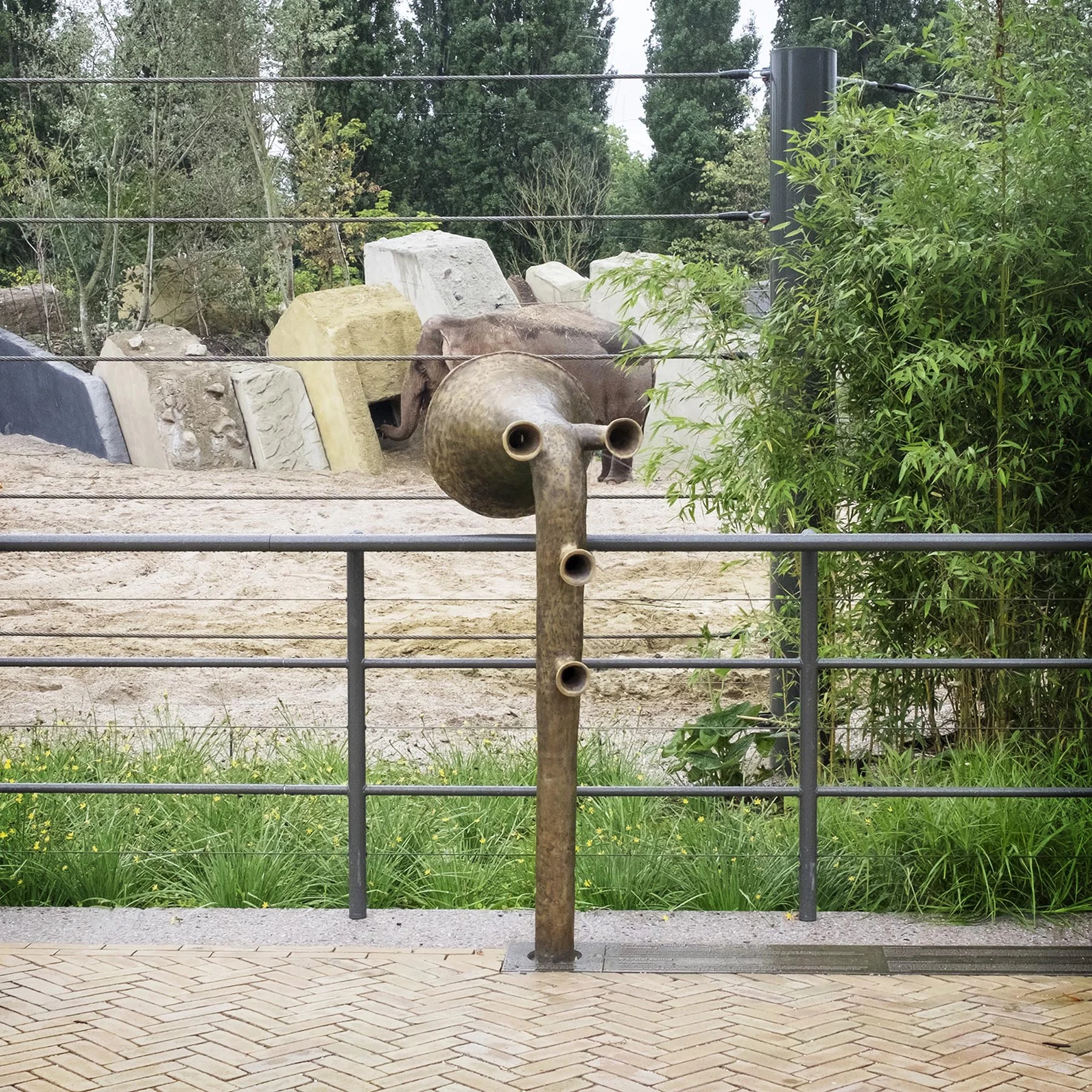 01_elephant trail_mvk.jpg