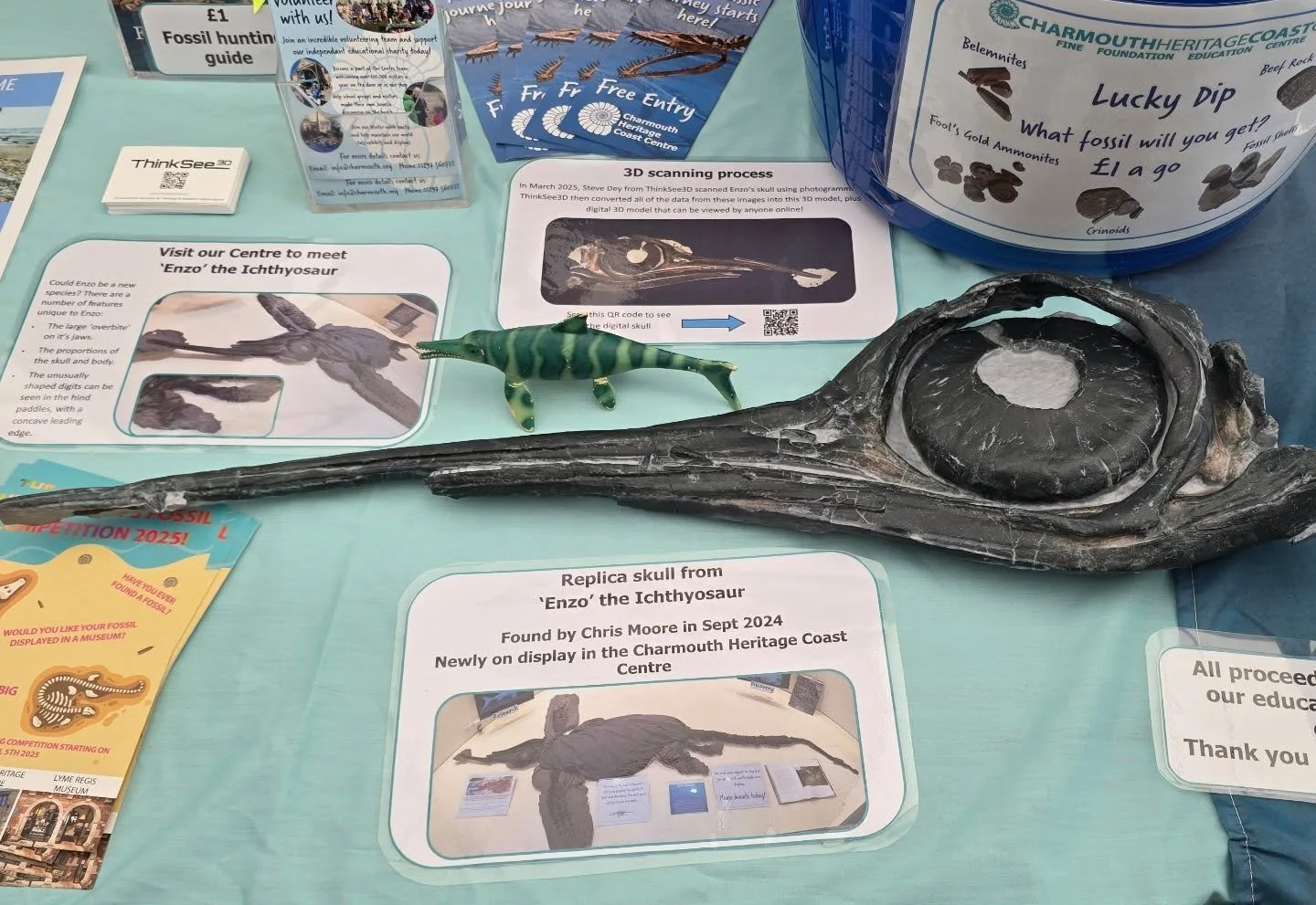 ThinkSee3D 3D replica #ichthyosaur skull at the Lyme Regis Fossil Festival recently.  This was on the @charmouthhcc Charmouth Heritage Coast Centre table but will soon be on display at the museum. Thanks to Chris Moore for commissioning this work and