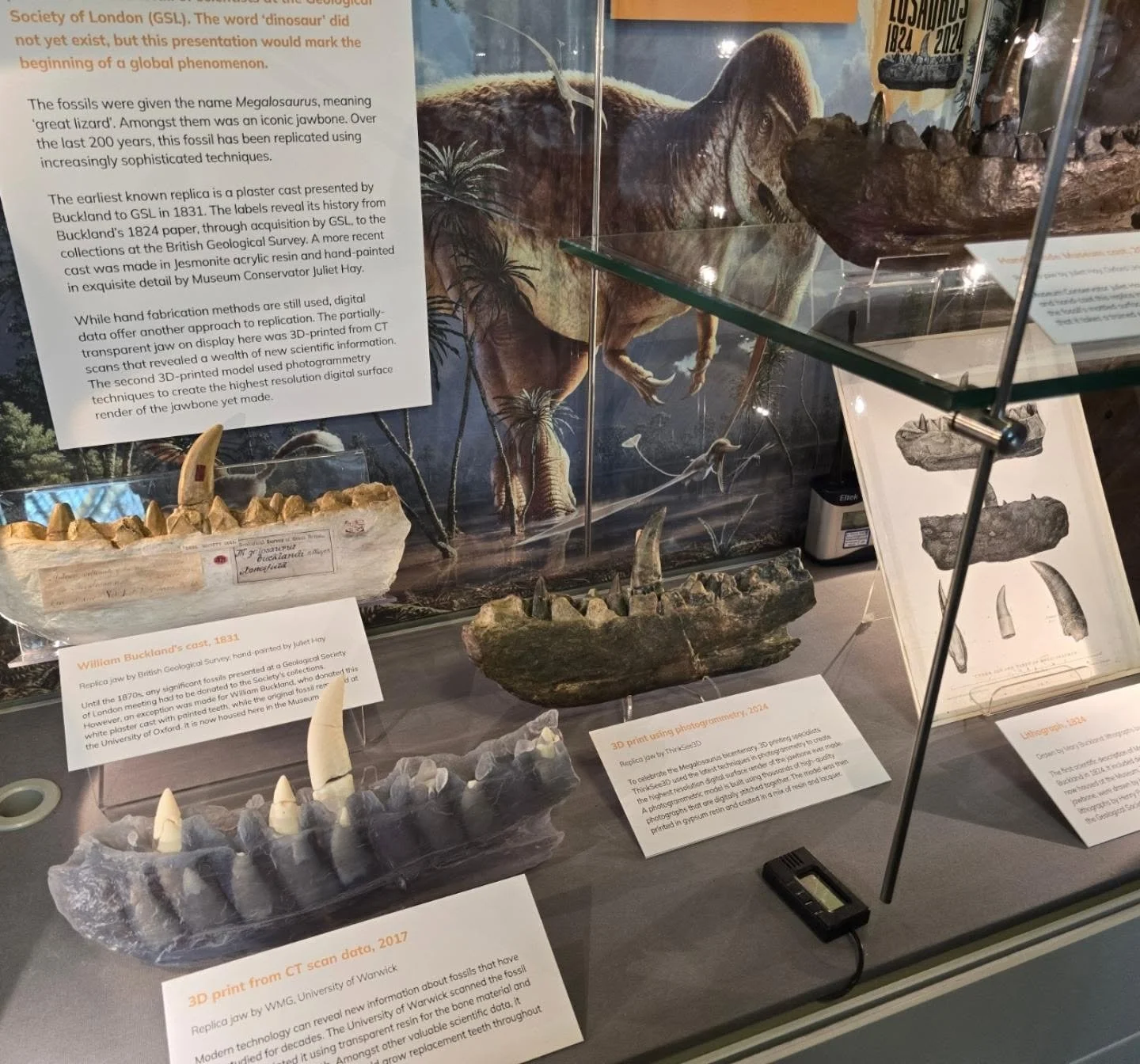 Love this display about replicas of the famous first recognised #dinosaur bone (a Megalosaurus dentary) by Dr Emma Nicholls @morethanadodo, Oxford University Museum of Natural History, featuring in the centre a ThinkSee3D replica (from a scan earlier