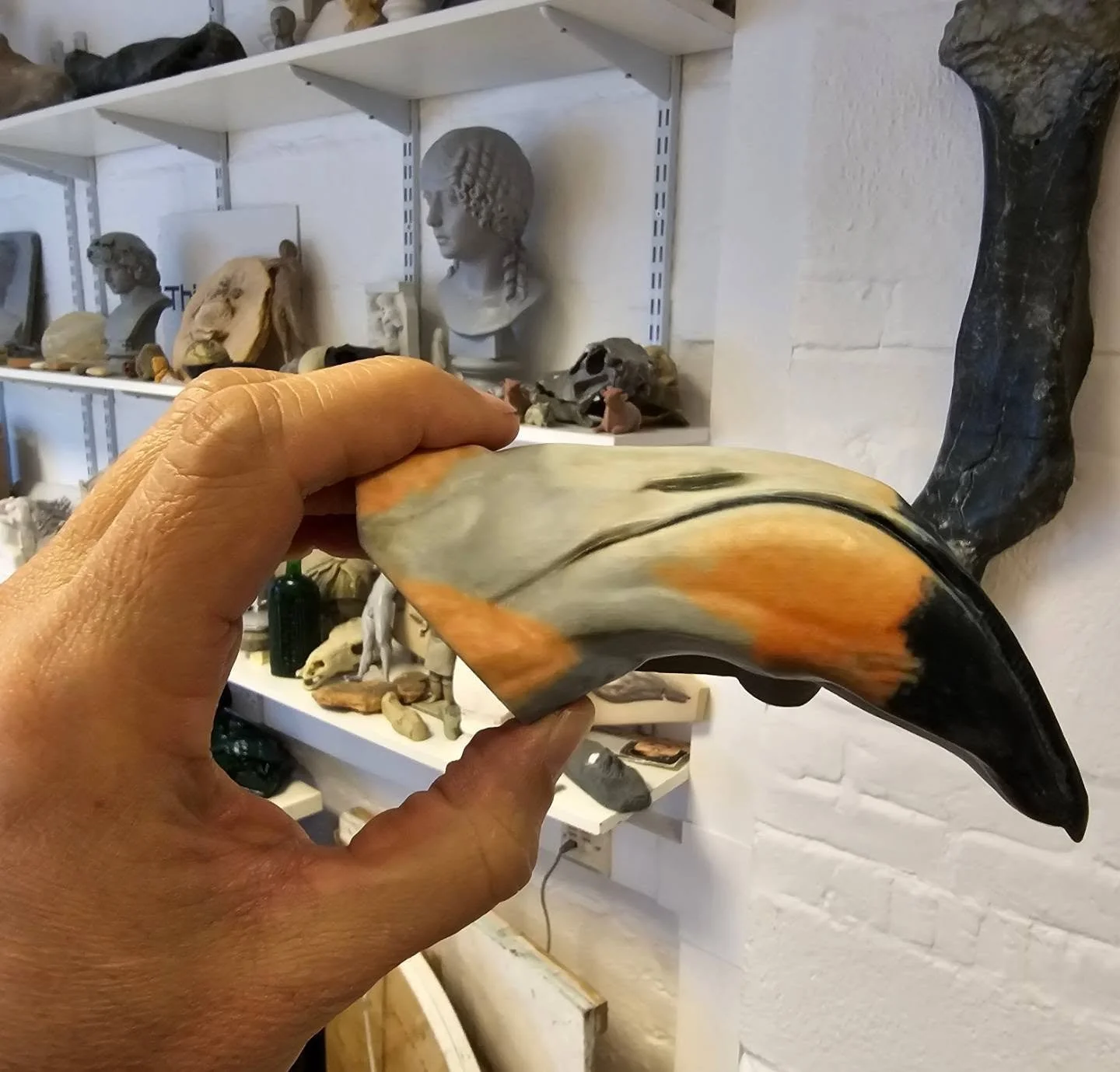 We are proud to announce that ThinkSee3D created 15 touch models for the newly open @NHM_London summer exhibition, including 7 bird beaks, 5 swiftlet nests &amp; a scaled up model of a fossil Ichthyornis skull. We used 3D printing on all, but some we