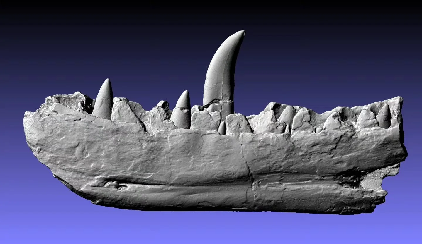 To mark the bicentenary of its first presentation, ThinkSee3D has gifted a new high-resolution digital 3D model of the iconic Megalosaurus jawbone to Oxford University Museum of Natural History, @morethanadodo.  ThinkSee3D is based in rural #Oxfordsh