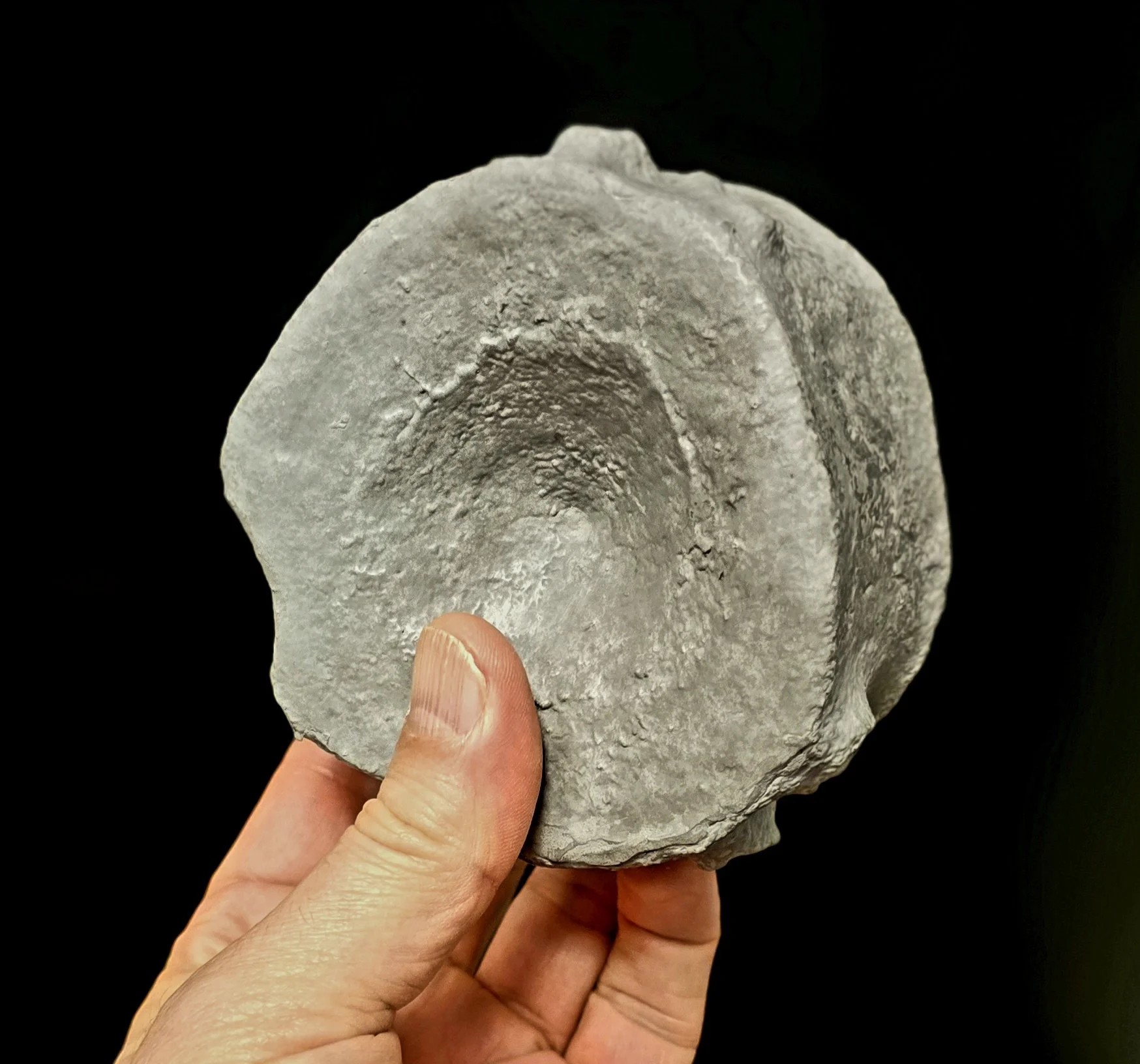 Replica HS2 Ichthyosaur Vertebra
