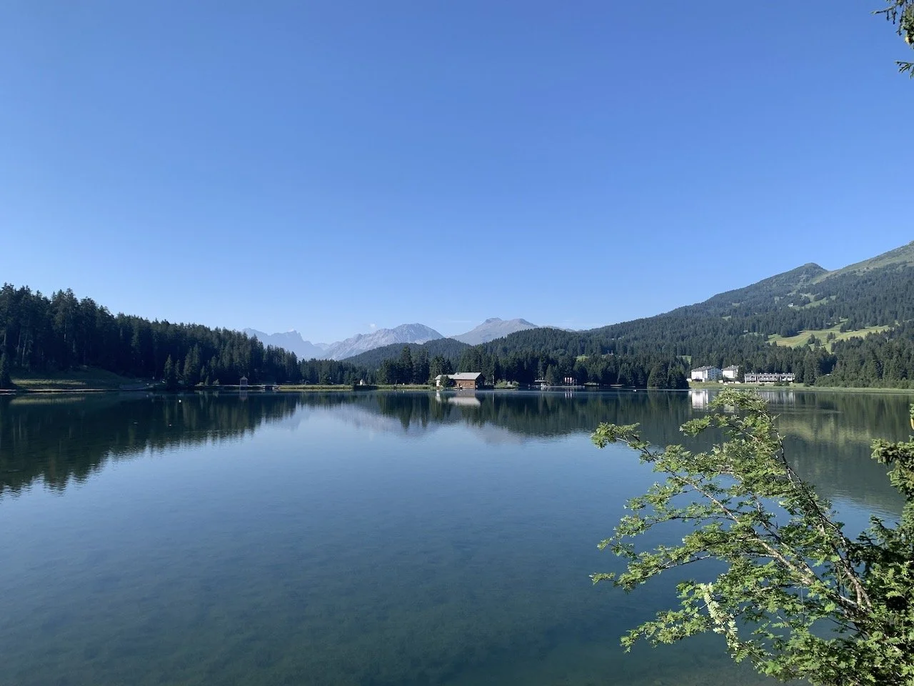 Heidsee - 1 (1).jpeg