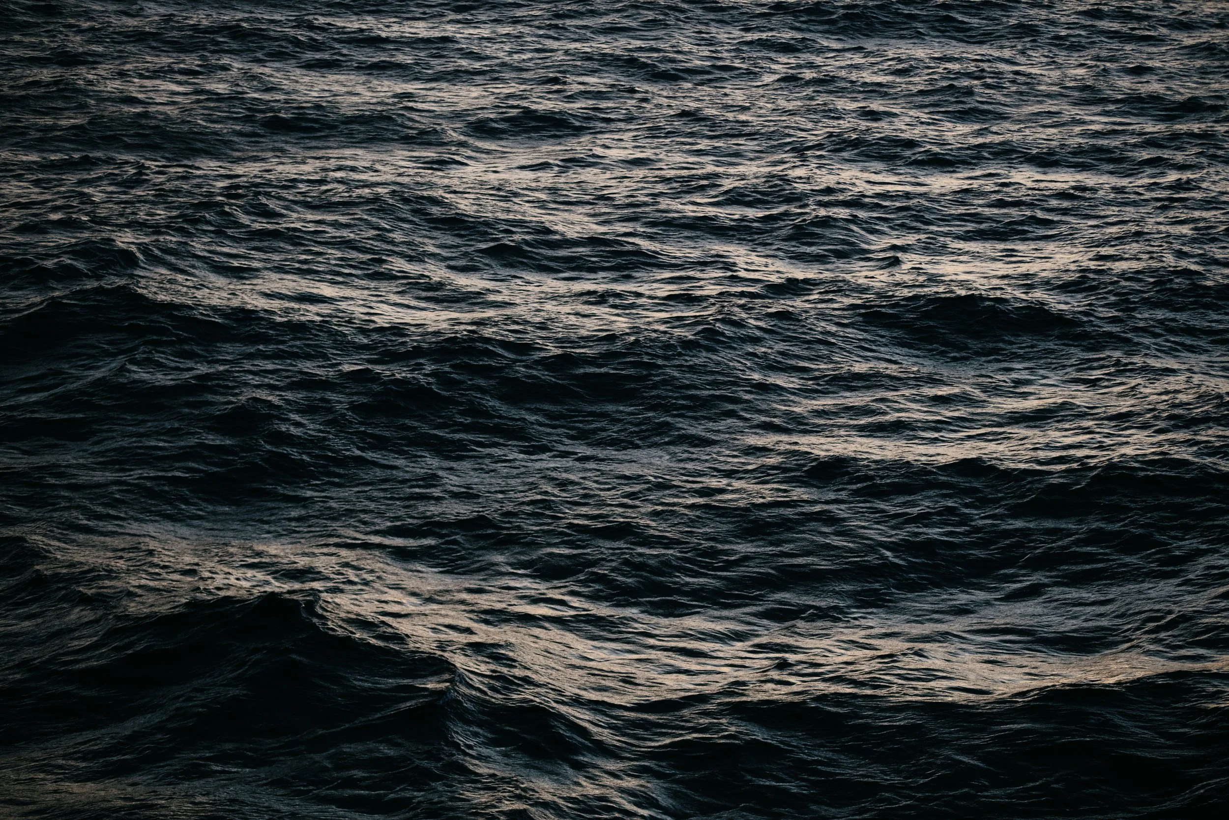 119A0328 copy.jpg