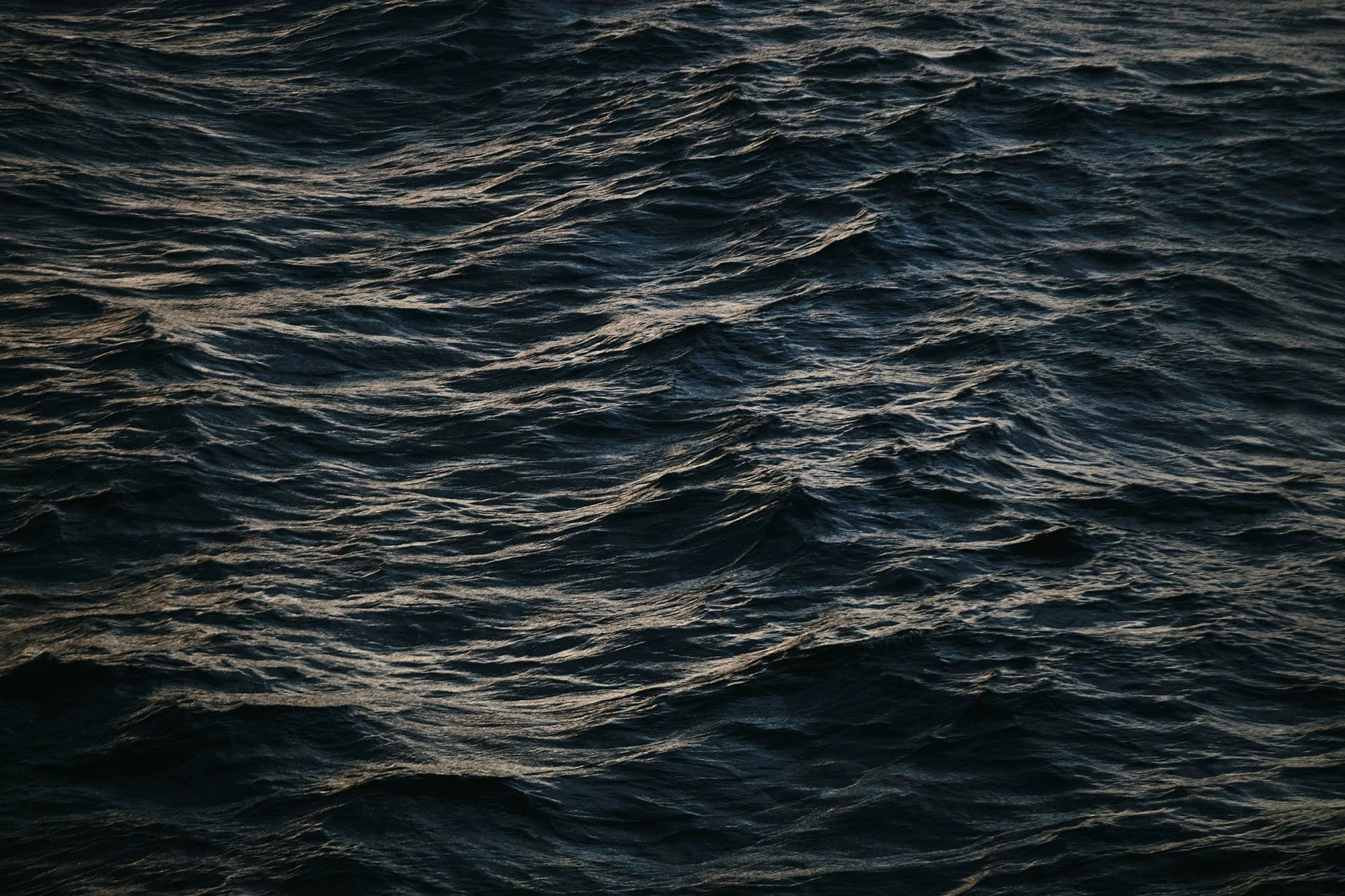 Untitled-13 copy.jpg